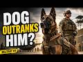 Why Do U S  Military Dogs “Outrank” Their Handlers