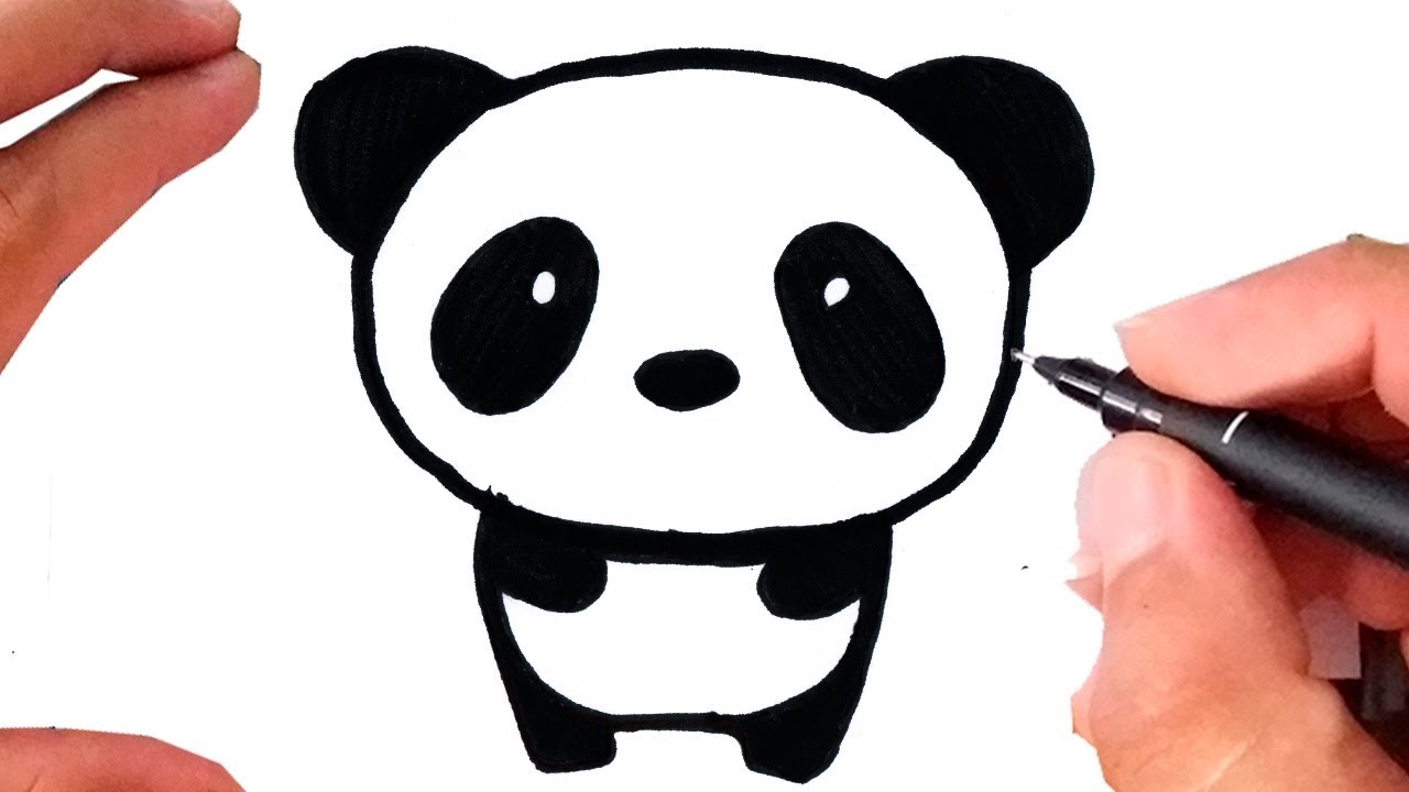 Panda filhote [Aprenda a desenhar] 