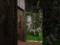 Trap Door: RIP Coffin to Mausoleum at Dracula’s Castle