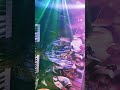 صولة ترند 2025 موسى باسطة العازف سلطان ترند متك فتك Music ترند Dj Duet صولة ترند 2025 موسى باسطة العازف سلطان ترند متك فتك Music ترند Dj Duet