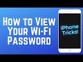 How to View Your Wi-Fi Password on iPhone in iOS16