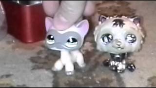 LPS МОЯ ПЕРВАЯ СТОЯЧАЯ КОШКА!!!!!(Читай описание!) LPS МОЯ ПЕРВАЯ СТОЯЧАЯ КОШКА!!!!!(Читай описание!)