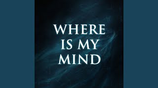 Where Is My Mind