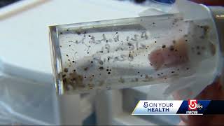Experts warn of risk of infection during tick season