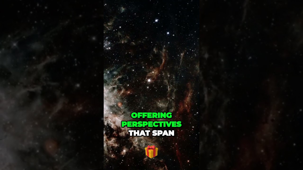 The Andromeda Signal: A Philosophical Exploration of Life's Existential Questions