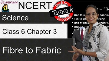 NCERT Class 6 Science Chapter 3: Fibre to Fabric (NSO/NSTSE/Olympiad) | English doorsteptutor.com