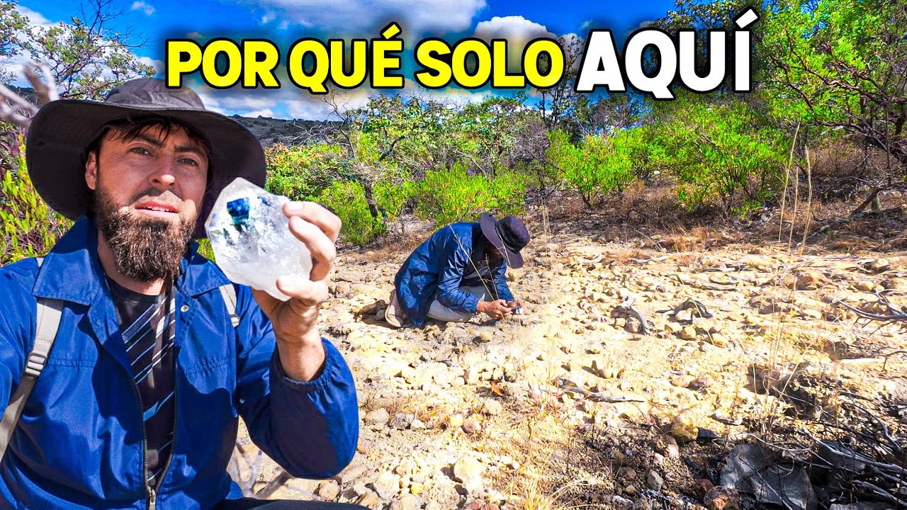 Miles de cuarzos con forma de “DIAMANTE” 💎 aparecen en un cerro de Jalisco!