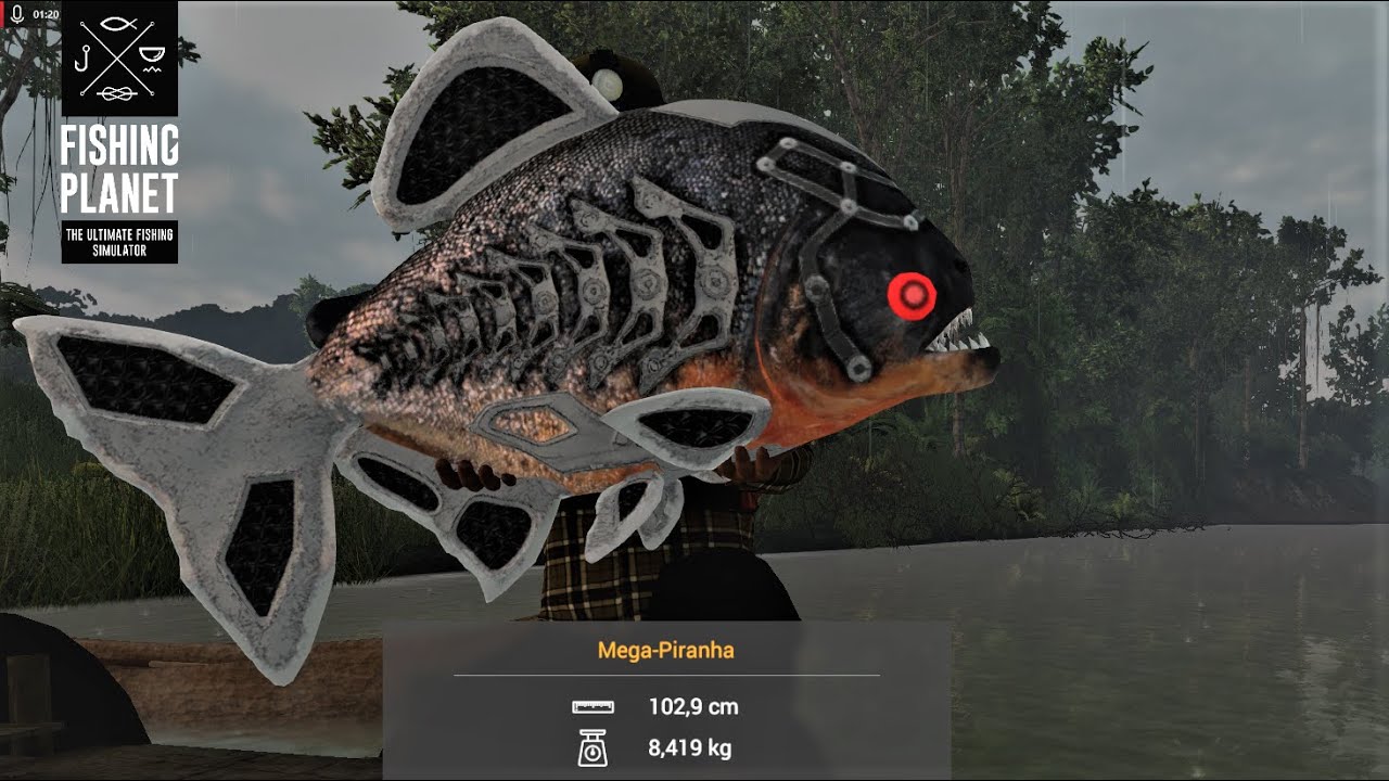 Fishing Staffel 3 Folge 95 Maga Piranha am Marron YouTube