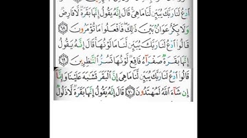 شرح مبسط سورة البقرة الآيات 68-69-70 #فجاءة_خاطرة