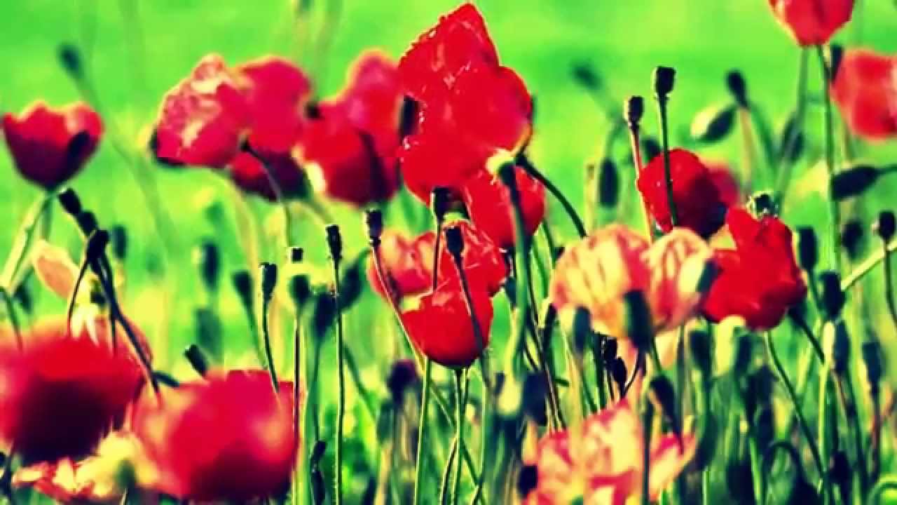 Iye (Mother) a thrilling  African Fiction Novel by Julie Agnes Omeike