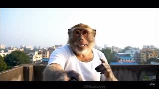 3656649385213377134 75223132497