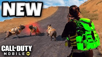 *NEW* ATTACK DOGS in BATTLE ROYALE!! | COD MOBILE | SOLO VS SQUADS