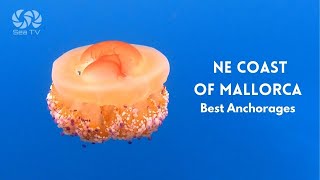 Best Anchorages on the NE coast of Mallorca | Sea TV Sailing channel