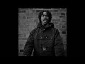 Jerk Type Beat X Hoodtrap Type Beat 2025 - "GREEN TO BLUE" Jerk Type Beat