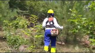 Lucha contra el fuego... y contra el paro