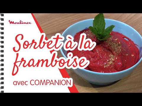 Recette sorbets maison pas à pas - Cuisine Companion Moulinex