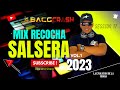 Recocha salsera mix dj bacgcrash  margie que pena raquel lo que dice justi