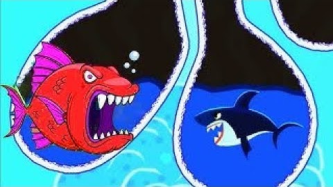 save the fish game /save fish /fishdom gameplay