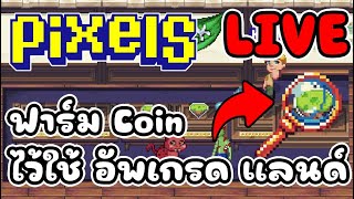 [ LIVE ] Pixel x Ducky (NFT) สายฟรียังรอดไหม ? EP.151