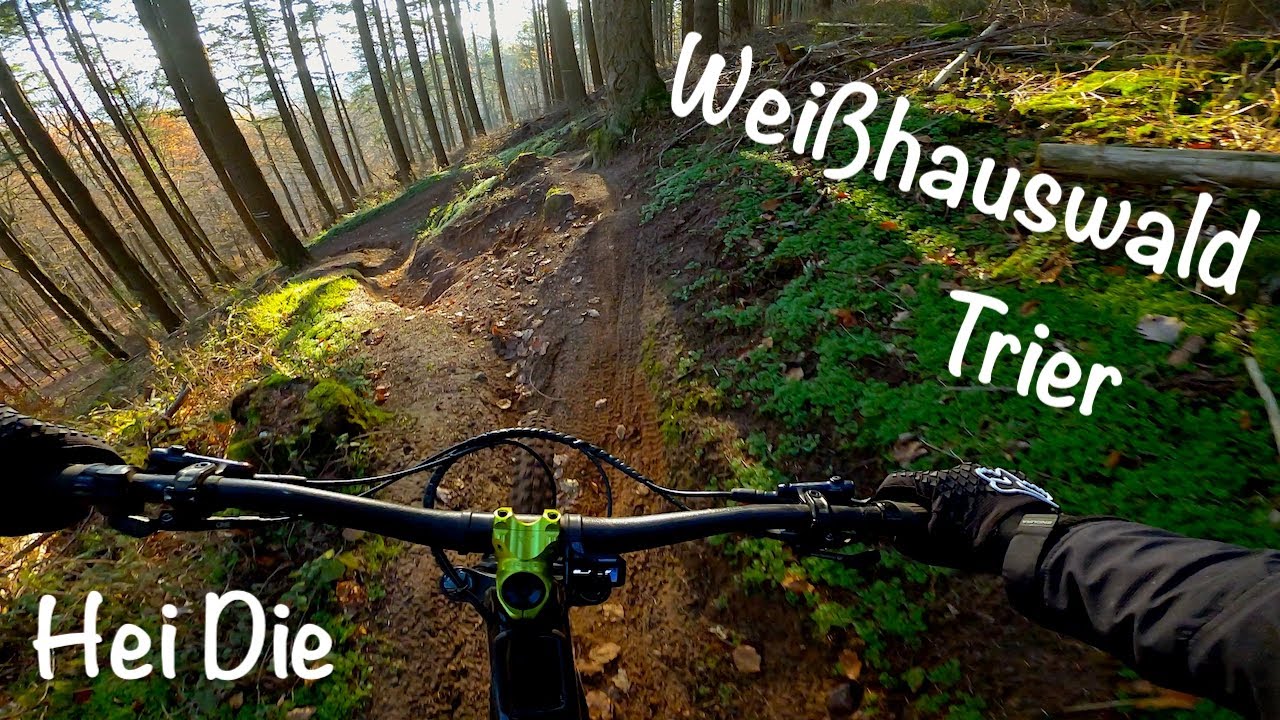 Weißhauswald Trier - Hei Die - Dezember 2022