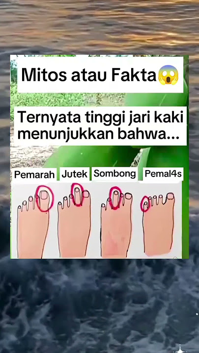 MITOS ATAU FAKTA !! TERNYATA TINGGI JARI KAKI MENUNJUKKAN BAHWA #shorts