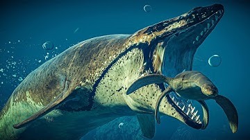 Basilosaurus vs Megalodon Ark, Mosasaurus, Spinosaurus & All marine reptiles | JWE2 Mods