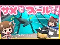 【Sharks and Minnows】大のサメ好きがプールで一緒に泳ごうとした結果…？！🐟✨【ゆっくり実況】