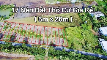 Tôi Đã Tìm Thấy 17 Nền Thổ Cư GIÁ RẺ Mặt Tiền Đường Nhựa Xe Hơi!
