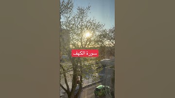 قرآن كريم #اكسبلور #المصحف #quran #القزابري #تيك_توك #راحة_نفسية #قران_كريم #لايك #ترند
