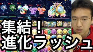 パズドラ 集結 進化ラッシュ Youtube パズドラ 集結 進化ラッシュ Youtube