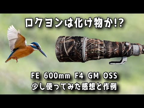 Kingfisher ２（キングフィッシャー２） 最高峰照準器 フォトサイト-