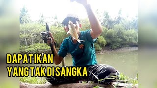 Targetnya sih bukan ikan ini .. mengejutkan 