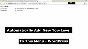 "Automatically add new top-level pages to this menu" in WordPress