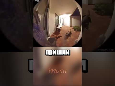 Открыли бы дверь?
