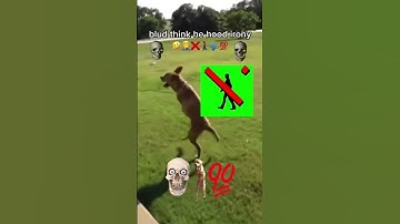 Thumbnail of hood irony 💀💀🚶‍♂️🚶‍♂️💯💯🔥💯🔥🔥🚷🚷🚷