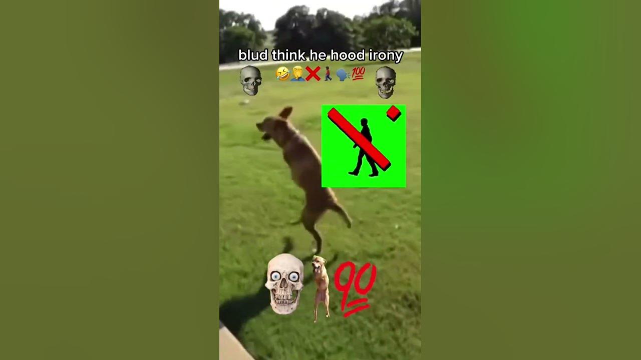 hood irony 💀💀🚶‍♂️🚶‍♂️💯💯🔥💯🔥🔥🚷🚷🚷