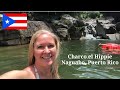 Baignade  charco el hippie  explorer les piscines naturelles de porto rico