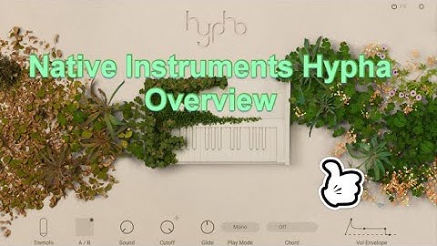 An Overview of Hypha by Native Instruments