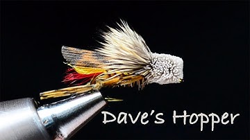 Dave