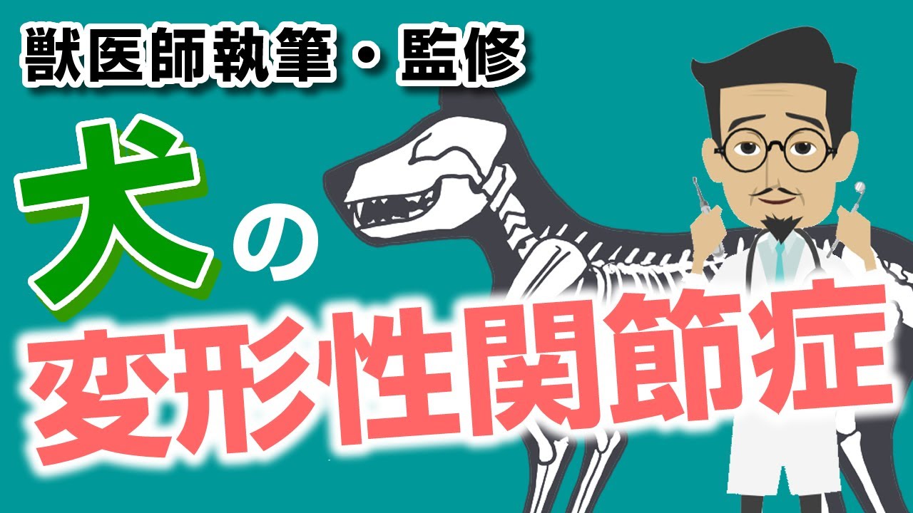 Osteoarthritis in Dogs [Veterinarian-Supervised] Symptoms, Causes