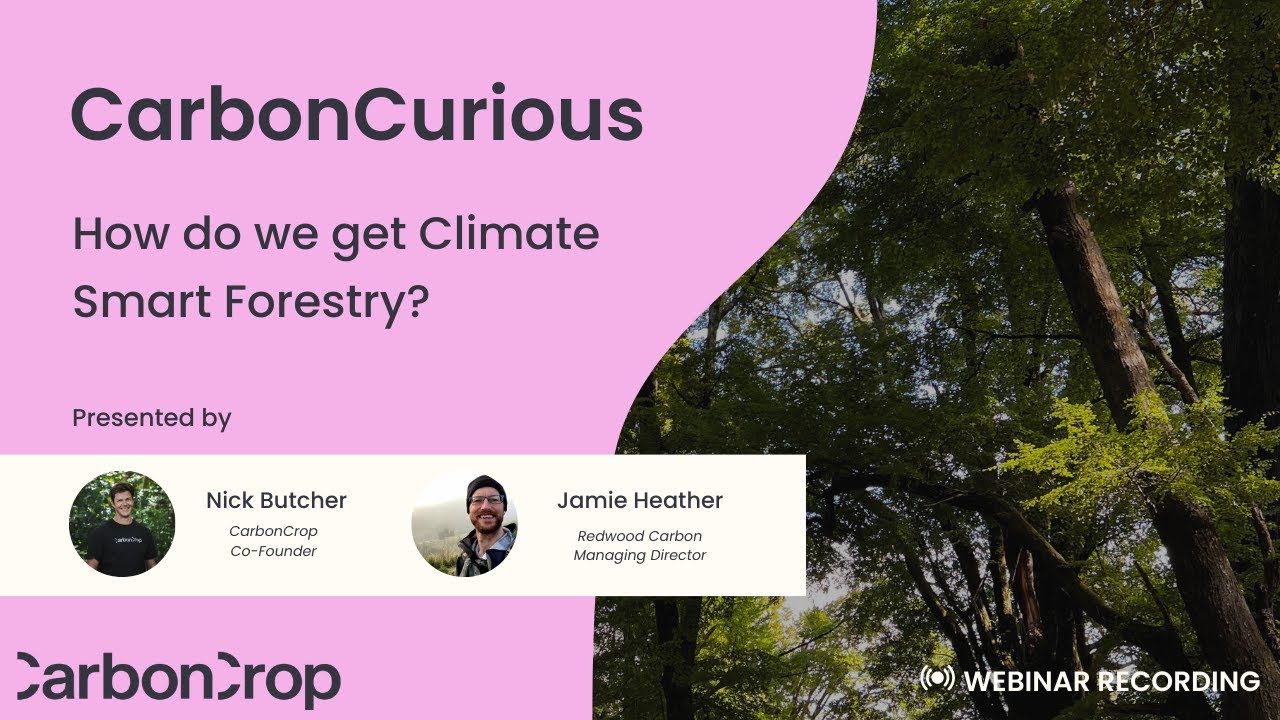 CarbonCurious | How do we get Carbon Smart Forestry? | ft Jamie Heather of Redwood Carbon