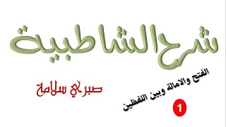 الدرس 47 من شرح الشاطبية ||  الفتح والامالة وبين اللفظين1|| د. صبري سلامة