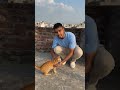 namaste dosto dekho aaj mere sath kon hai #short #cats #catshorts #blackcat #browncat