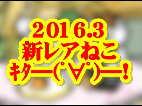 攻略 ねこあつめ その14 新ねこ レアねこ一挙4匹公開 16年3月 ネタバレ注意 Youtube