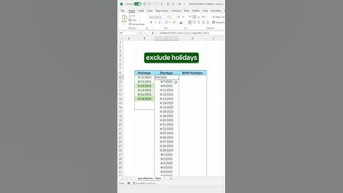 How to get Workdays and Holidays in Excel! #excel #spreadsheet #corporate