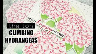 Climbing Hydrangeas Stenciled Card