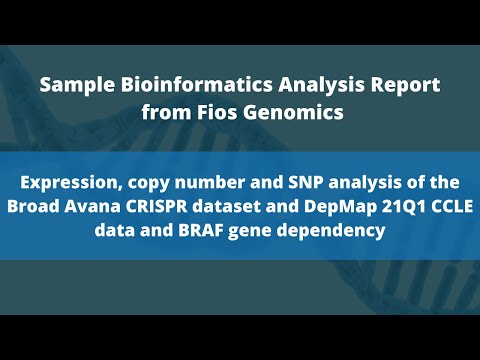 Bioinformatics analysis report