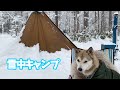 【雪降る森の雪中キャンプ⛺️】薪ストーブで料理して地酒を飲みながら食べる🍽女ひとりと一匹のソロキャンプ🐕🐾〜Making a wood stove dish in a snow camp〜