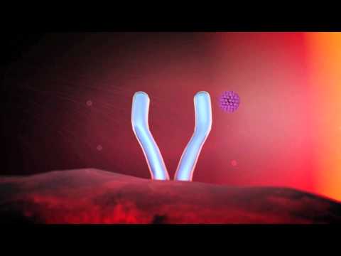 Cervarix
