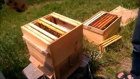 05-31-14 Nuc to Warre inspection 02